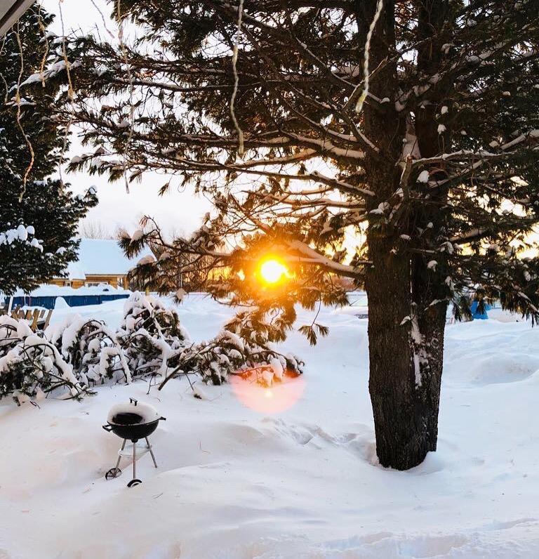 Arctic Resort Delight Rovaniemi Rum bild