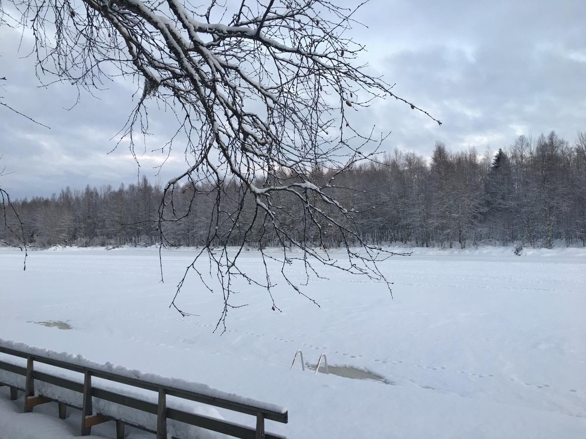Arctic Resort Delight Rovaniemi Rum bild